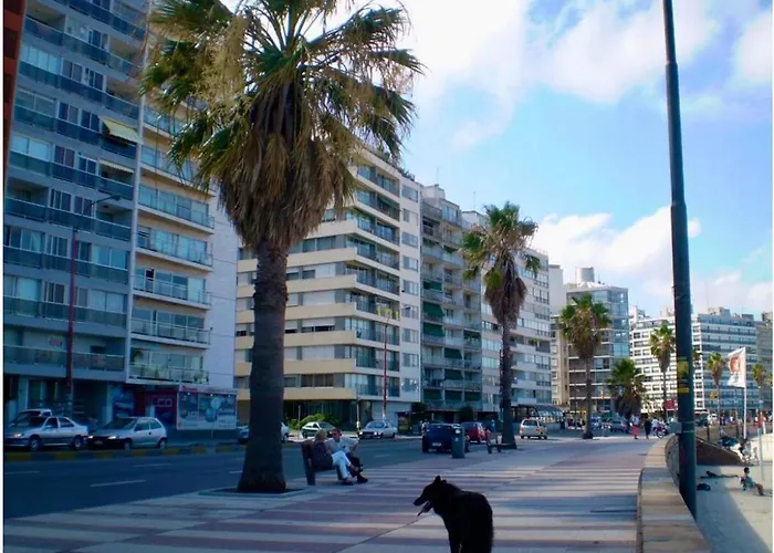 Apto A Una Cuadra De La Playa Pocitos
